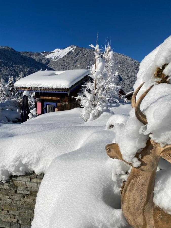 Micro-Lodge, Le Petit Nid D'Amour Montriond Exterior foto