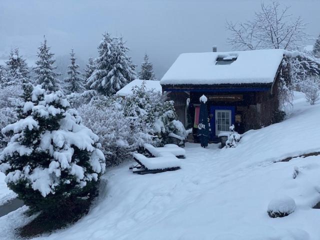 Micro-Lodge, Le Petit Nid D'Amour Montriond Exterior foto