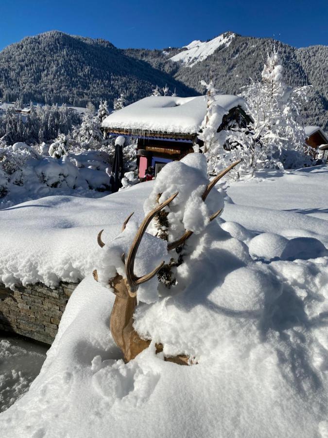 Micro-Lodge, Le Petit Nid D'Amour Montriond Exterior foto
