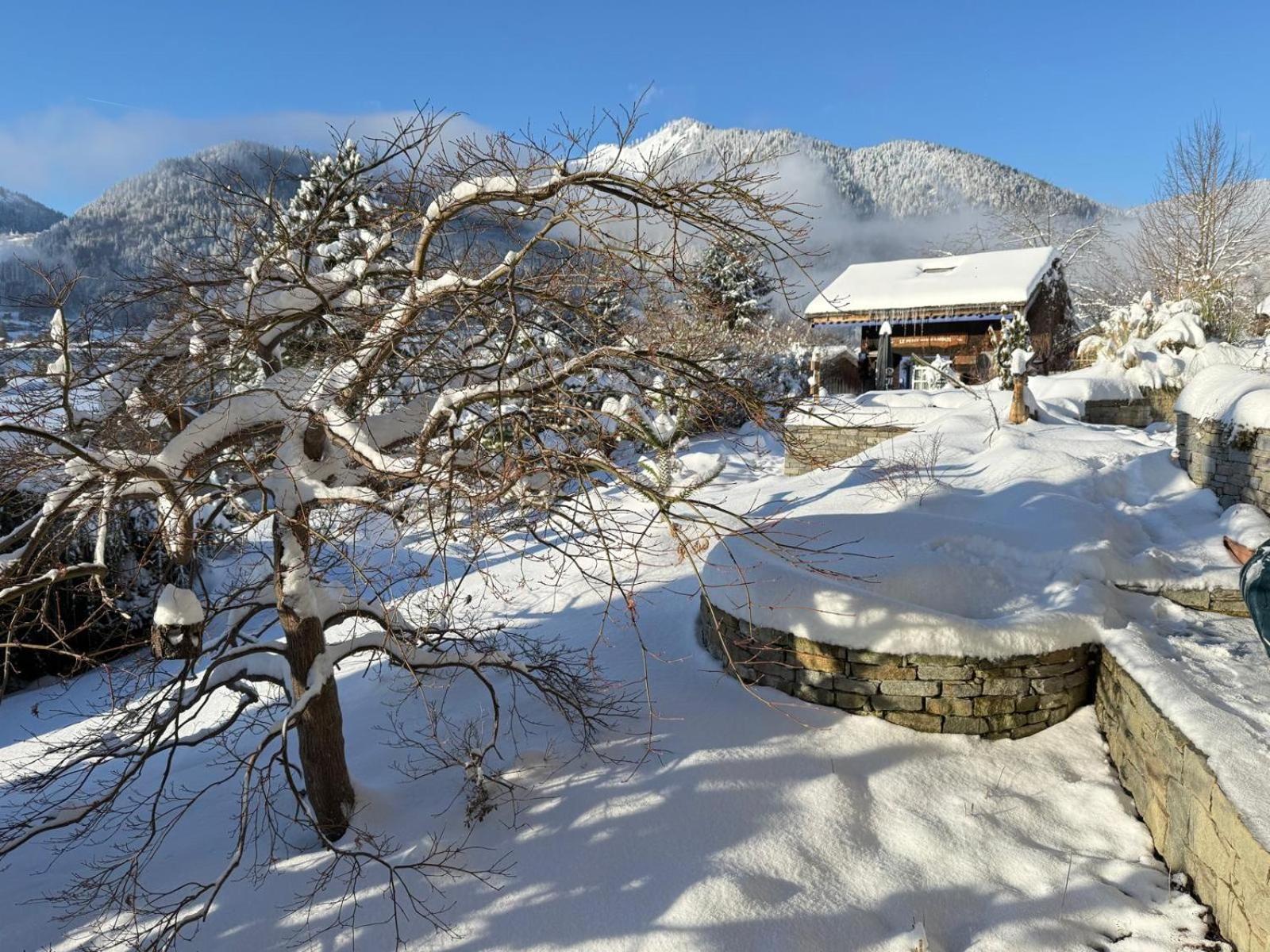 Micro-Lodge, Le Petit Nid D'Amour Montriond Exterior foto