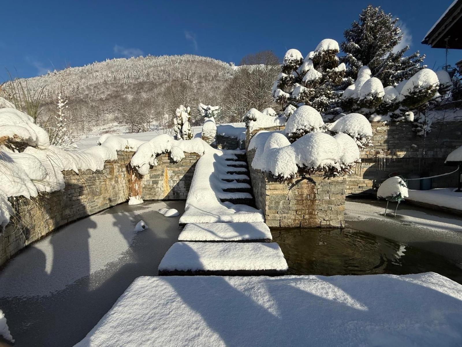 Micro-Lodge, Le Petit Nid D'Amour Montriond Exterior foto