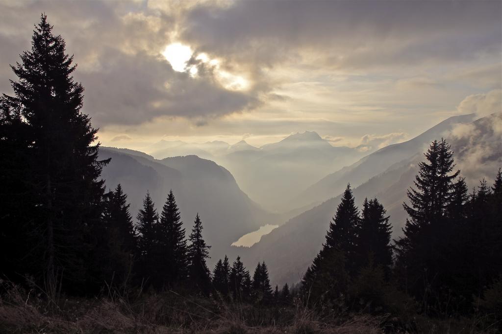Micro-Lodge, Le Petit Nid D'Amour Montriond Zimmer foto