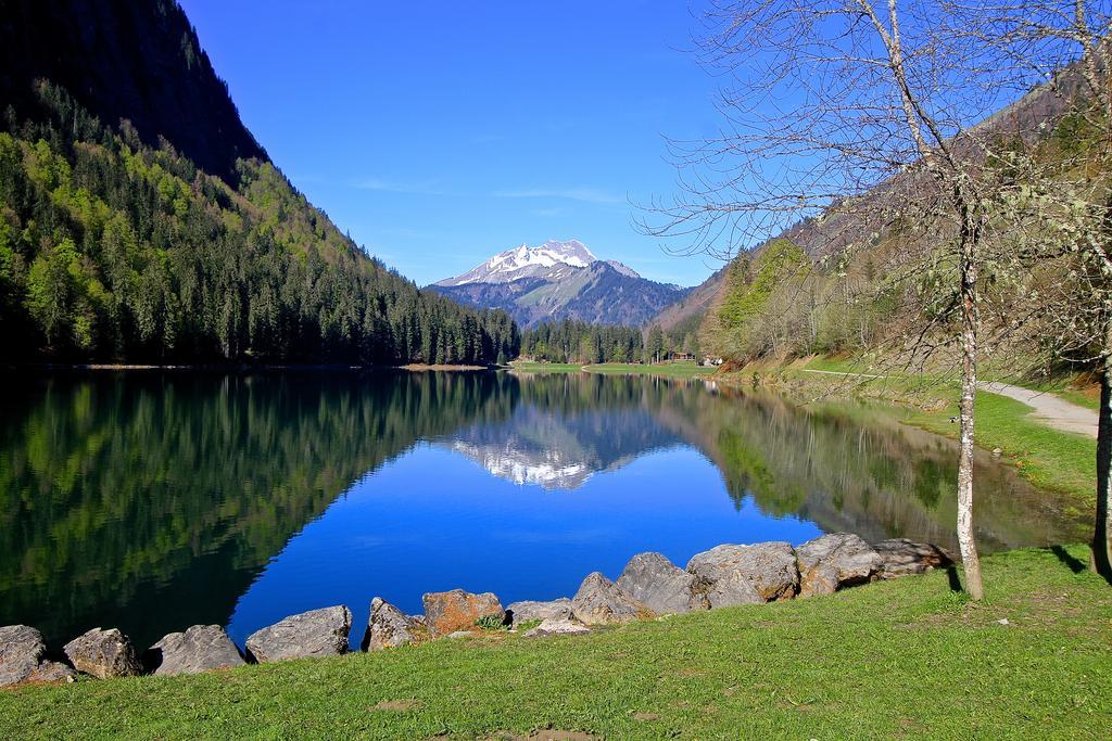 Micro-Lodge, Le Petit Nid D'Amour Montriond Exterior foto